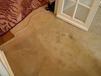 Carpet Cleaning North West London 352498 Image 4